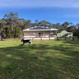 Kangaroo hill