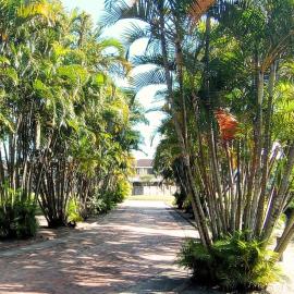 Just Property Zululand