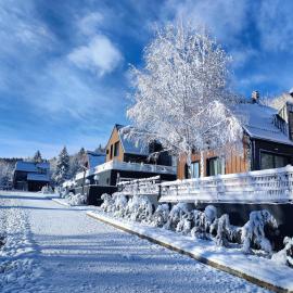 Gorska Idila "Smreka" - a Modern House in Quiet Area with Wellness, Hotel in Stari Laz