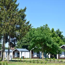 Pet Friendly Home In Nowe Warpno