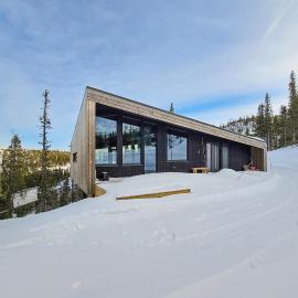 Awesome Home In Rjukan With Sauna, Hotel in Rjukan