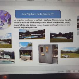 Les Papillons