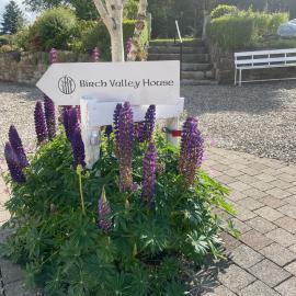 Birch Valley Accommodation Tinahely Wicklow Ireland, hotell i Killicreny Bridge