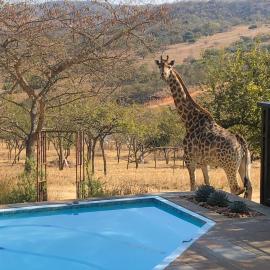 Khululeka Safaris Lodge, хотел в Уайт Ривър