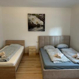 Cheap Worker Apartment with Garden near Solarfields, hotel in Parndorf