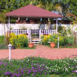 Nature's Charm - Unique Treehouse by a Scenic Lake, Hotel in Bhopal