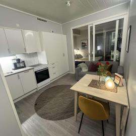 Central City Apartment