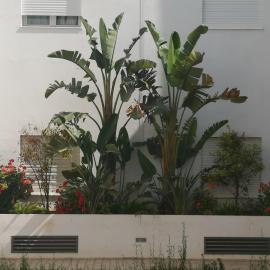 Very high standing apartment, Hotel in Gammarth