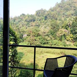 Shoreline Haven Resort