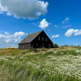Modern Beach House At Frederiksdal、Harpelundeのホテル