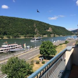 Rheinblick Apartment