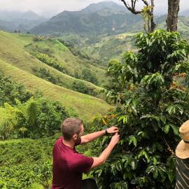 Coffee Tour, Colombia Aranzazu Caldas- Andean Motmot coffee, hotel di Aranzazu