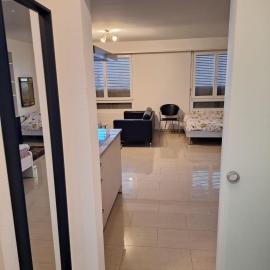 Grosse 1-Z-Wohnung