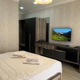 Vip Hotel: Taşkent'te bir otel