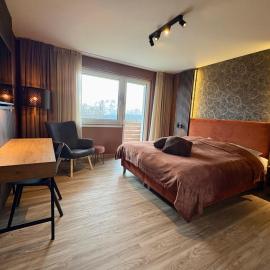 Berghotel Hohegeiß, hotel v destinaci Hohegeiß