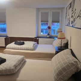 Muhusin Apartments Trimbach, hotel en Trimbach