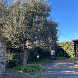Rural Apartment 44