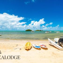 Echoes of the Reef - Azuri Village, hotel in Roches Noires