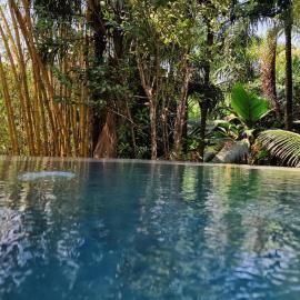 A Peace In Paradise