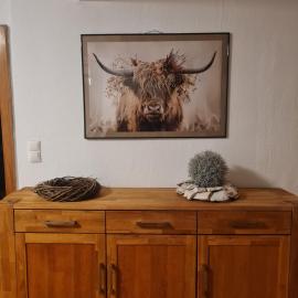Ferienwohnung mit Burgblick，邁恩的飯店