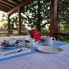 Il giardino di Anna