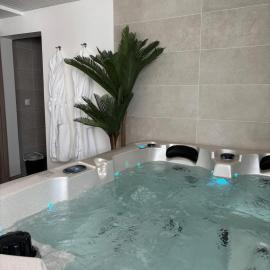 VENUS LOCATION - Loft climatisé avec Spa