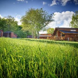 Forest of Dean Cabins - Forest Holidays, hotel a Staunton