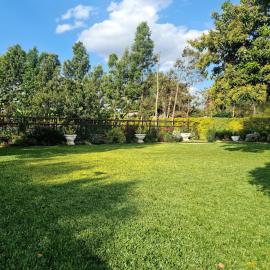 Grevillea Farm house, hotell i Kamondo