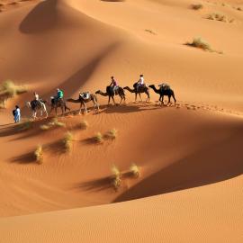 Erg Chebbi Desert Glamping