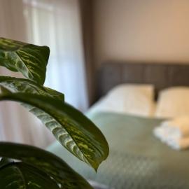 Kakava House، فندق في Nemėžis