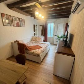 Le 122 , maison climatisée avec jardin, Hotel in Romorantin-Lanthenay
