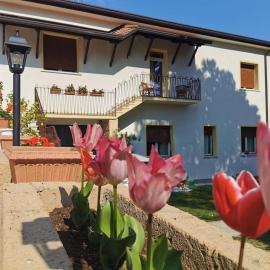 Stanza in villa Marirosa