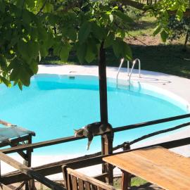 CASA VACANZE per Famiglie Agriturismo Montepolo
