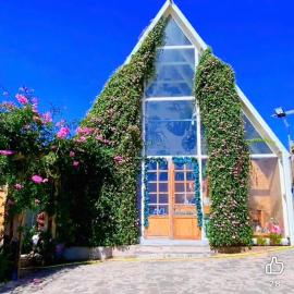 LayLa Homestay, hotel in Lạc Dương