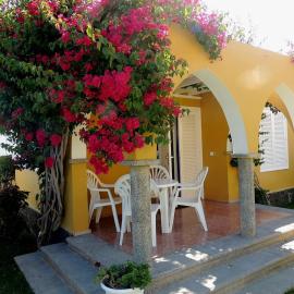 HANDICAP 7 Bungalow 4