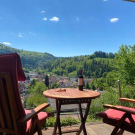 Ferienwohnung Traumblick