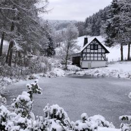 Rückzugsort am Teich in Winterberg