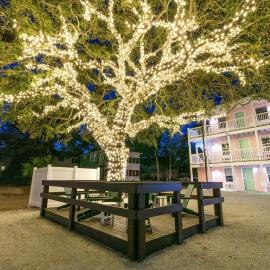 TreeHouse Lodge Walk to Beach Pet-Friendly 202