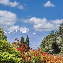 Maungatapu Studio 1 - Ohakune Holiday Home