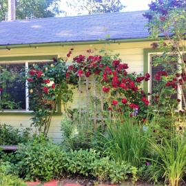 Charming Garden Cottage, hotel di Eugene
