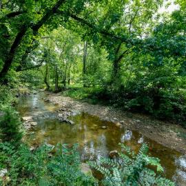 Lee's Creekside