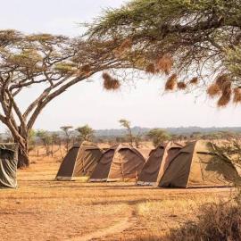 silver travel sand safari، فندق في Ngambo