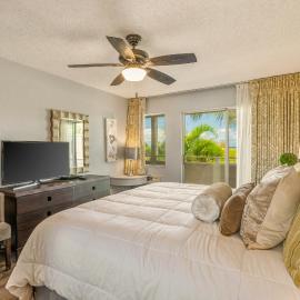 Plantation Hale w/pool next to Coconut Marketplace in Kapaa (J15)