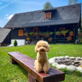 Traditional deer Cabin with Sauna - Chata Srňacie, hotel in Dolný Kubín
