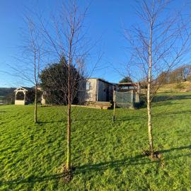 Shepherds hut - hot tub hire - dog friendly, hotell i Dumfries