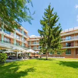 Abacus Business & Wellness Hotel，海采高洛姆的飯店