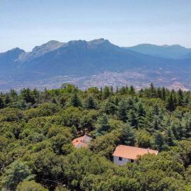 Monte Ortobene 1