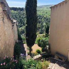 Campanina