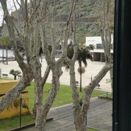 Apartment Alameda with Sea View, hotel in Machico