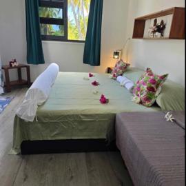 Tematavainui lodge, hotell i Tikehau Airport